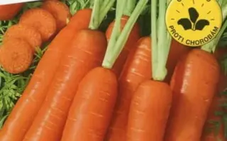 Jitka F1 / Йітка F1