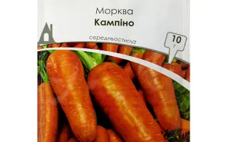 Kampino / Кампіно