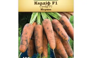 Cardiff F1 / Кардіф F1