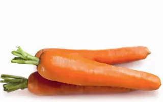 CARIBOU / КАРІБОУ