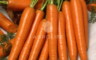 Carlano / Карлано