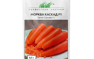 Сascade F1 / Каскад F1