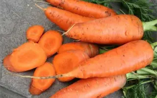 Katrin / Катрін