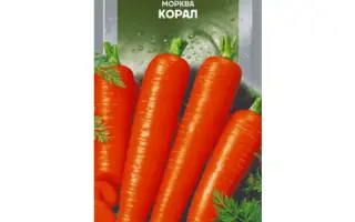 Koral / Кораль