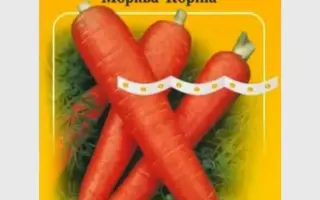 Korina / Коріна