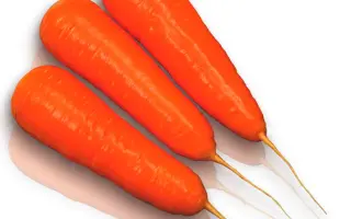 Kuroda Chantenay / Курода Шантане