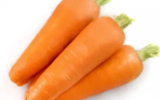 Les Saintes / Лес Саінтес