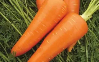 Miraflores / Мірафлорес