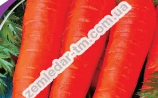 Нантская харьковская / Нантська харківська