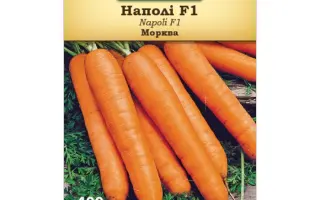 Наполи / Наполі F1