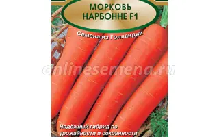 Narbonne F1 / Нарбоне F1