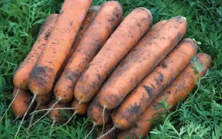 Nominator / Номінатор