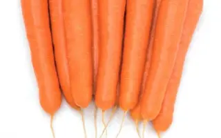 Octavo / Октаво