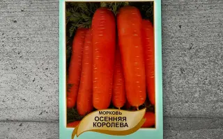 Osinnya koroleva / Осіння королева