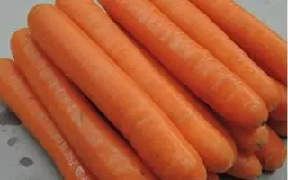 POLYDOR / ПОЛІДОР