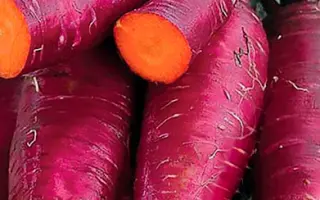 Purple Snax / Пурпл Снекс