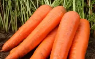 Rockfire / Рокфаєр