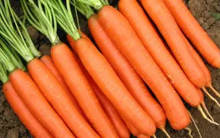 Romance / Романс