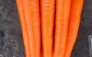 SANTORIN / САНТОРІН