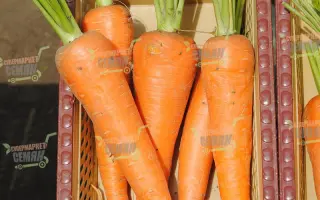 SV3118DH / СВ3118ДЧ