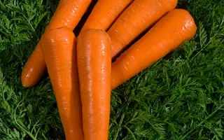 Silvano / Сільвано