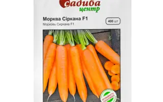 Sirkana / Сіркана