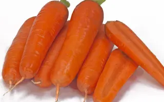 Tangerina / Тангеріна