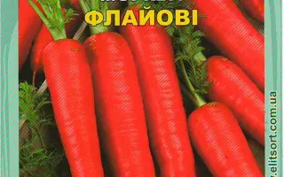 Flayovi / Флайові