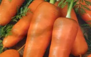 Charisma / Харізма