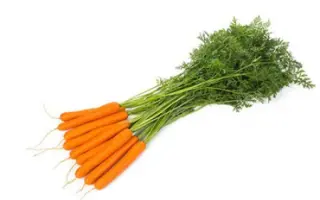 Hestan / Хестан