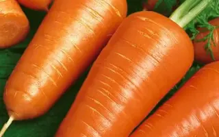 Chantenay BB / Шантане ББ