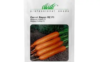 Bayon F1 / Байон F1