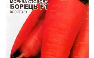 Borec F1 / Борець F1