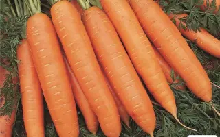 Bureau F1 / Бюро F1