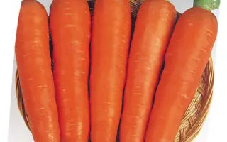 Victoria F1 / Виктория F1