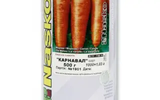 Карнавал