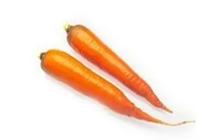 Krakow F1 / Краков F1