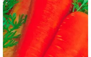 Ласуня