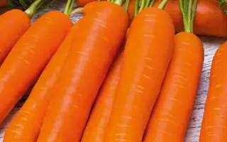 Nandrin F1 / Нандрін F1