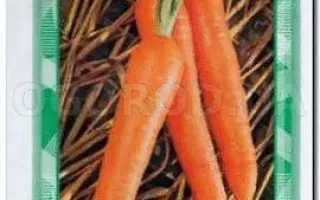 Nantindo F1 / Нантіндо F1