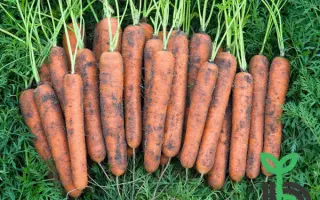 Norwalk / Норвалк