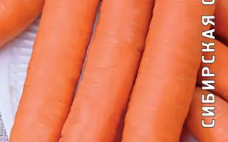 Newton F1 / Нютон F1