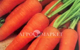 Red Core / Ред Кор