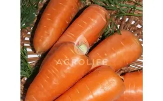 Royal Chanson / Ройал Шансон