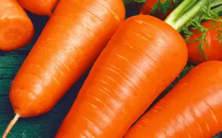 Talisman / Талісман