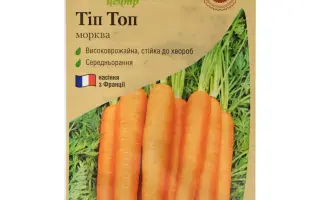 Tip Top / Тіп-Топ