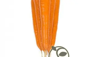 Trafford F1 / Траффорд F1