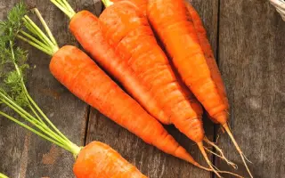 Fatima / Фатіма