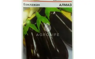 Almaz / Алмаз