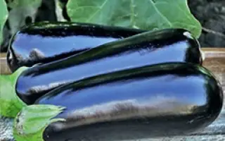 Anatolia / Анатолія